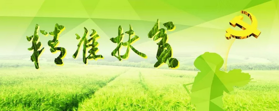 源碼助力來賓精準(zhǔn)扶貧，點(diǎn)亮新寨村幸福之路